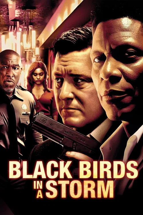 Black Birds in a Storm постер