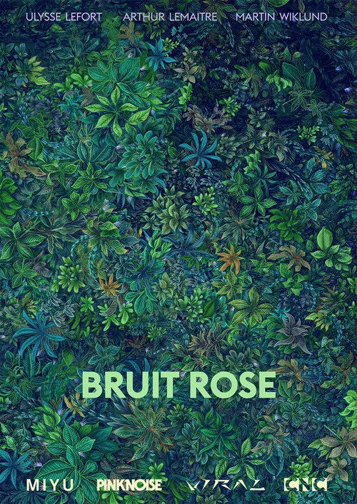 Bruit Rose постер