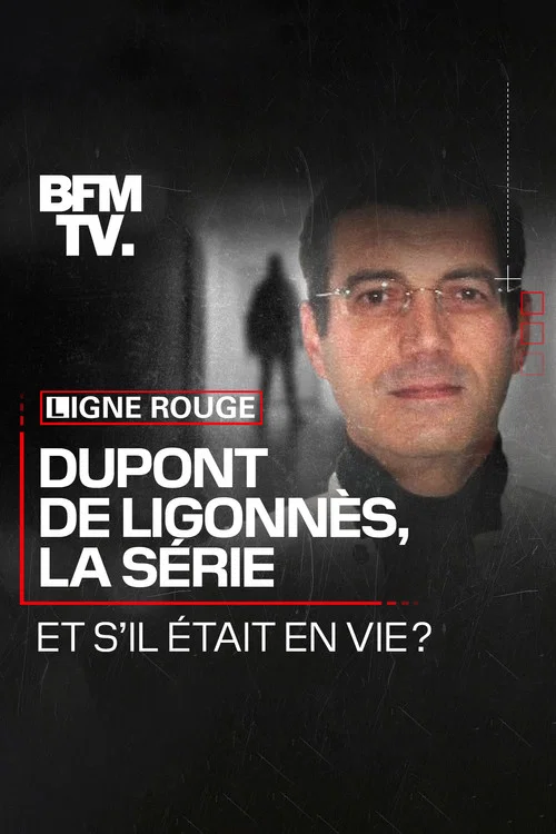Dupont de Ligonnès, la série постер