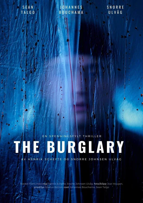 The Burglary постер