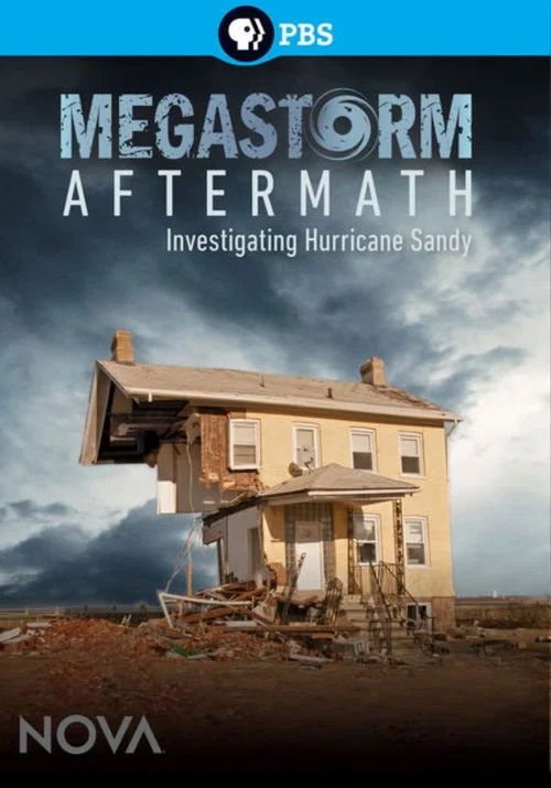 Megastorm Aftermath постер
