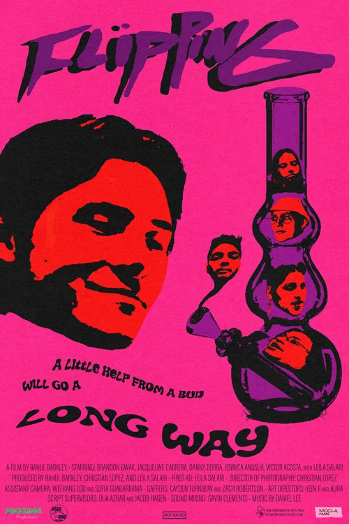 Flipping постер