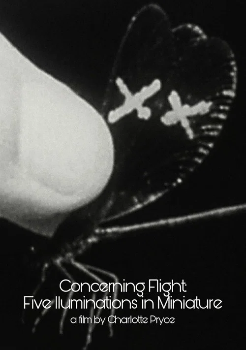 Concerning Flight: Five Illuminations In Miniature постер
