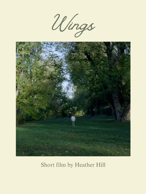 Wings постер
