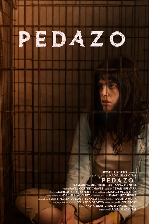 Pedazo постер
