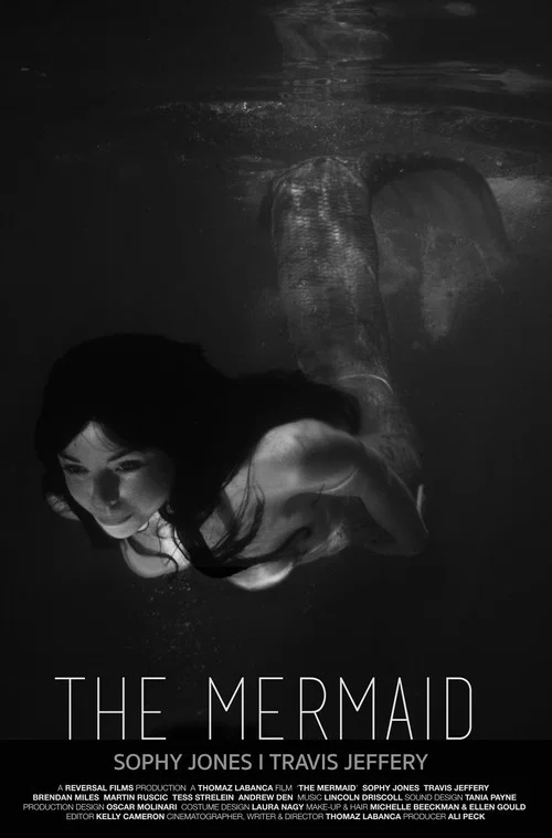The Mermaid постер