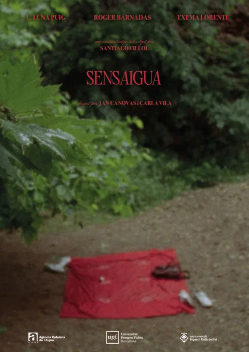 Sensaigua постер