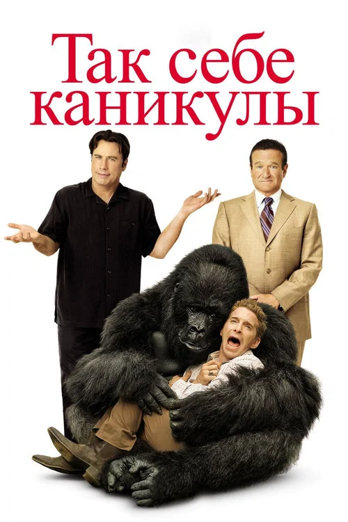 Так себе каникулы постер