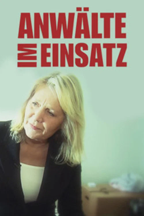 Anwälte im Einsatz постер