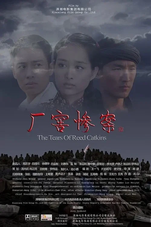 厂窖惨案 постер