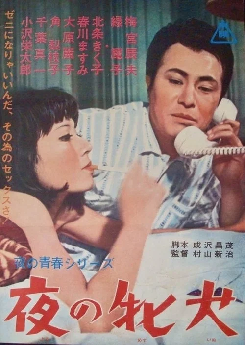 夜の牝犬 постер