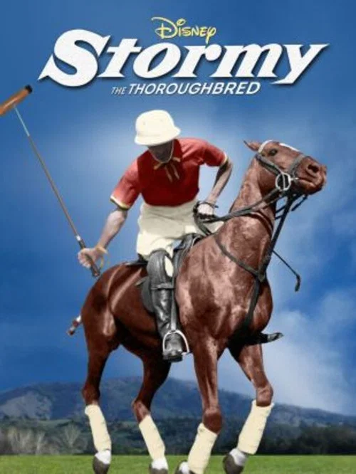 Stormy, the Thoroughbred постер