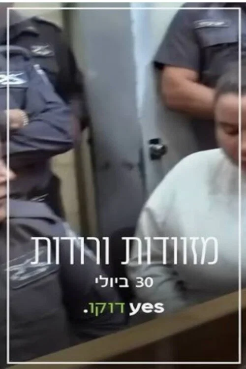 מזוודות ורודות постер