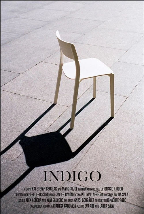 Indigo постер
