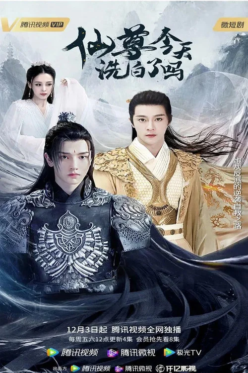 仙尊，今天洗白了吗 постер