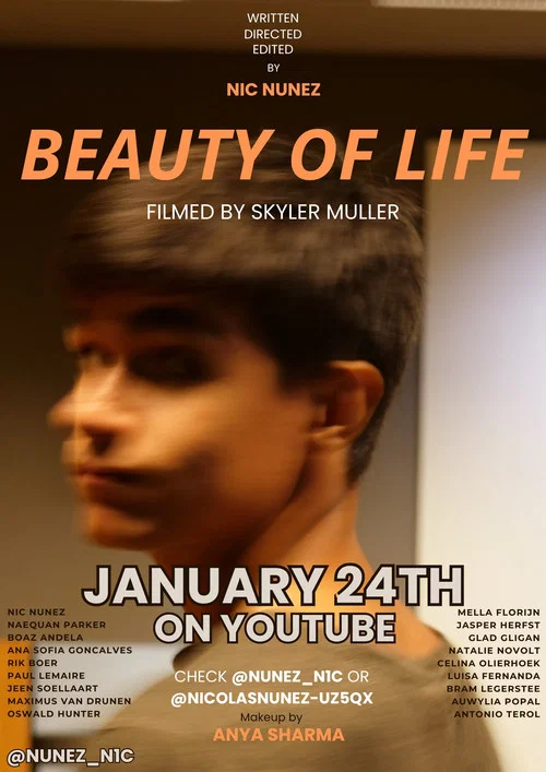 Beauty of Life постер