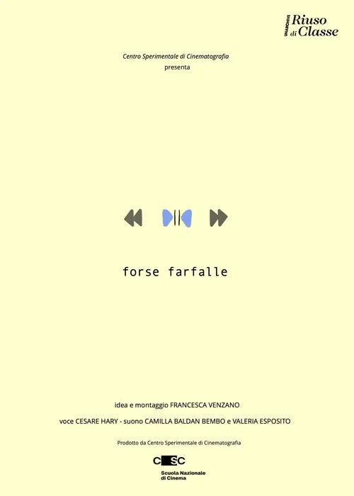 Forse farfalle постер