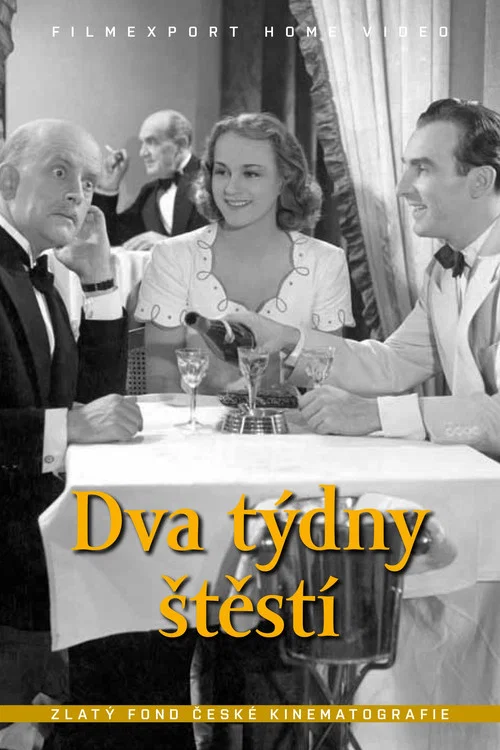 Dva týdny štěstí постер