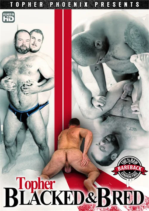 Topher Blacked & Bred постер
