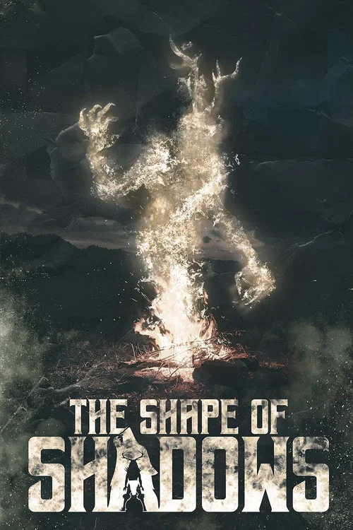 The Shape of Shadows постер