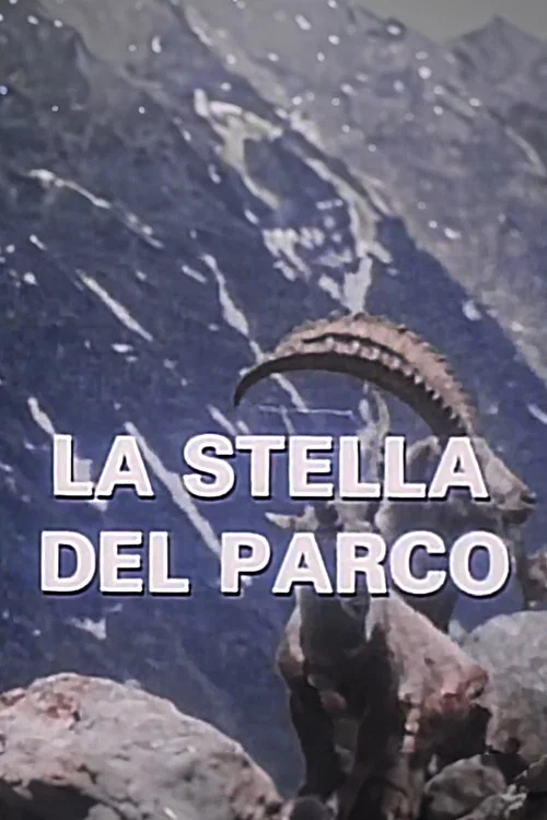La Stella Del Parco постер