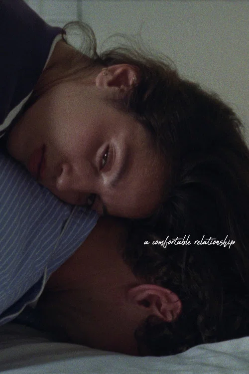 A Comfortable Relationship постер