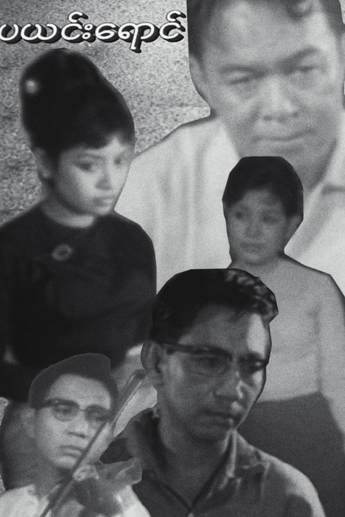 ပယင်းရောင် постер