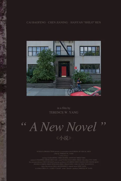 A New Novel постер