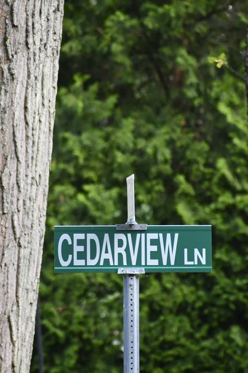 Cedarview постер