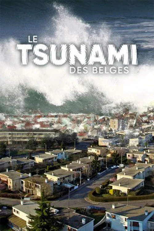 Le Tsunami des belges постер