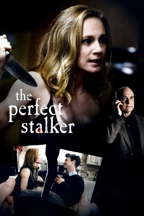 The Perfect Stalker постер