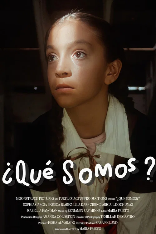 ¿Qué Somos? постер