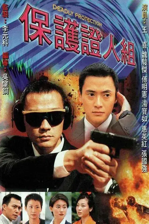 保護證人組 постер