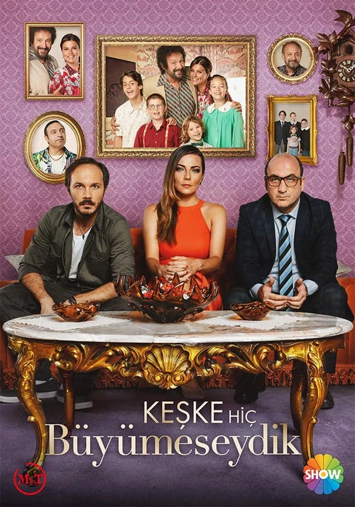 Keşke Hiç Büyümeseydik постер