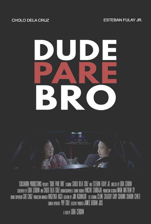 Dude Pare Bro постер