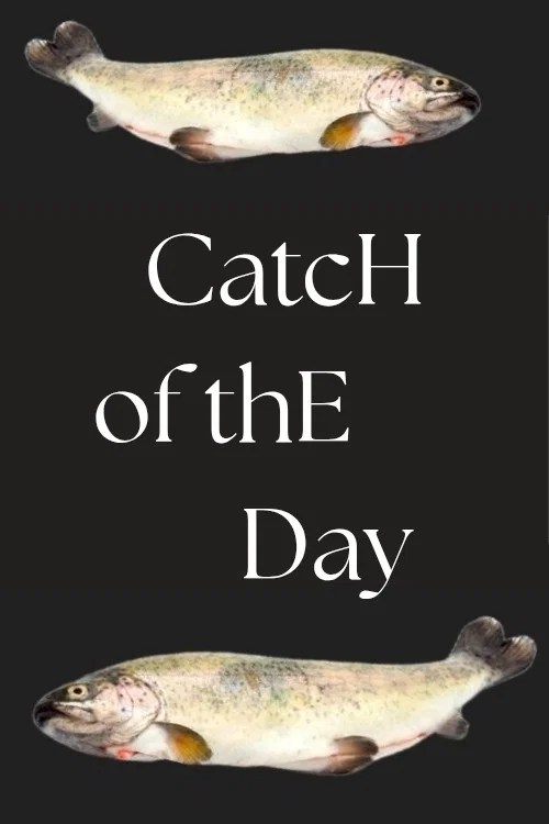 Catch of the Day постер