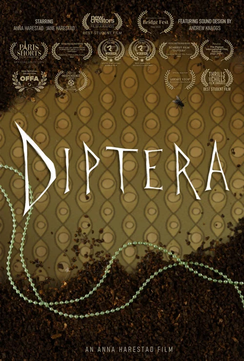 Diptera постер