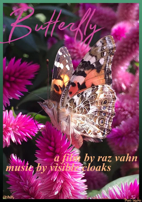 Butterfly постер