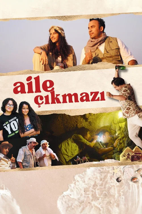 Aile Çıkmazı постер