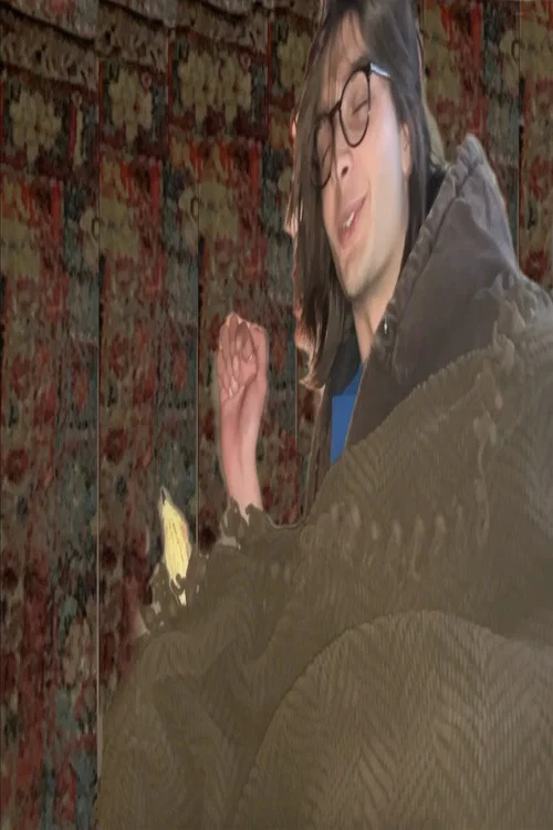 Bird Stomach постер