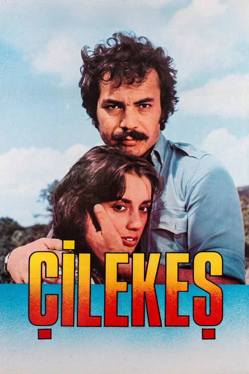 Çilekeş постер