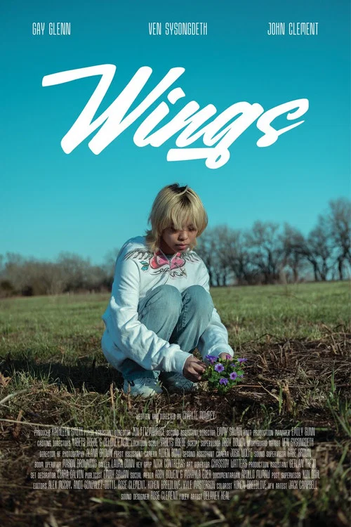 Wings постер