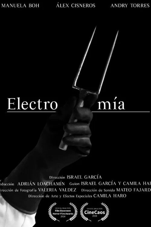 Electromía постер