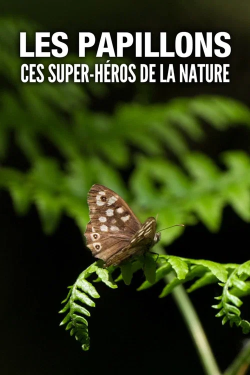 Les Papillons, ces super-héros de la nature постер