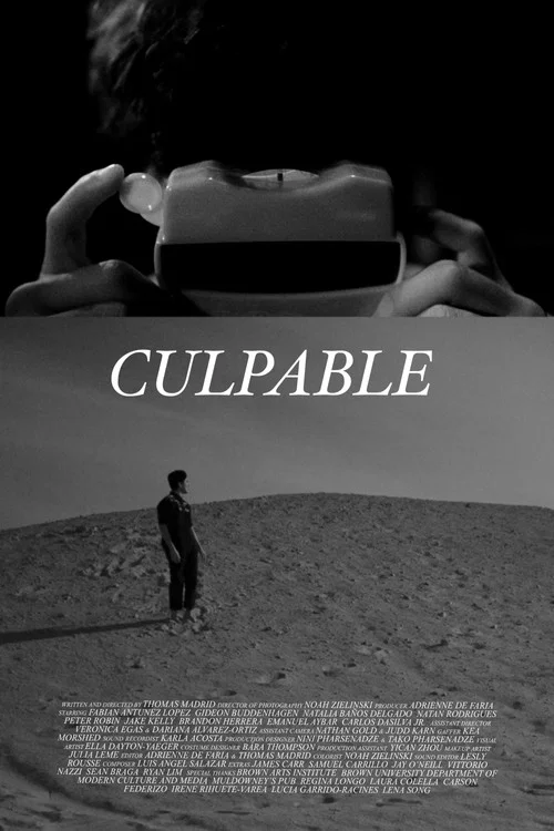 Culpable постер
