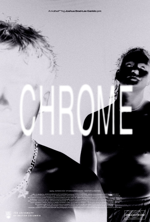 Chrome постер