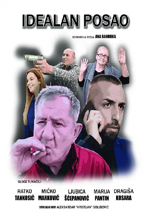 Idealan posao постер