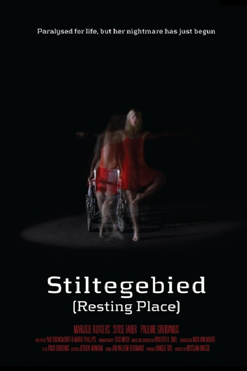 Stiltegebied постер