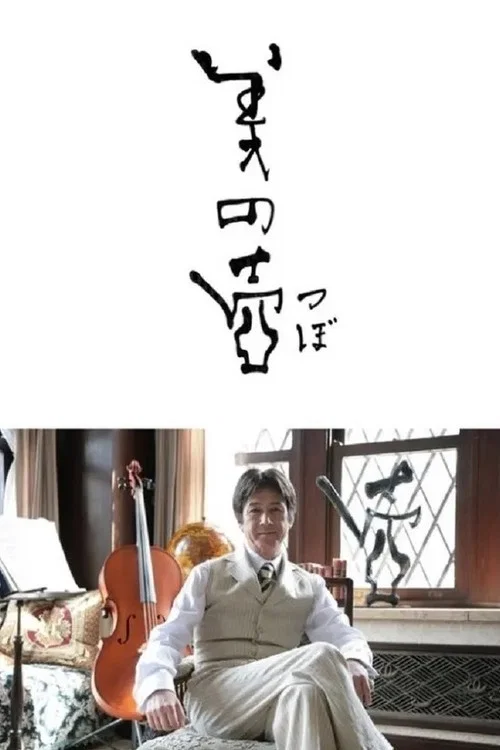 美の壺 постер