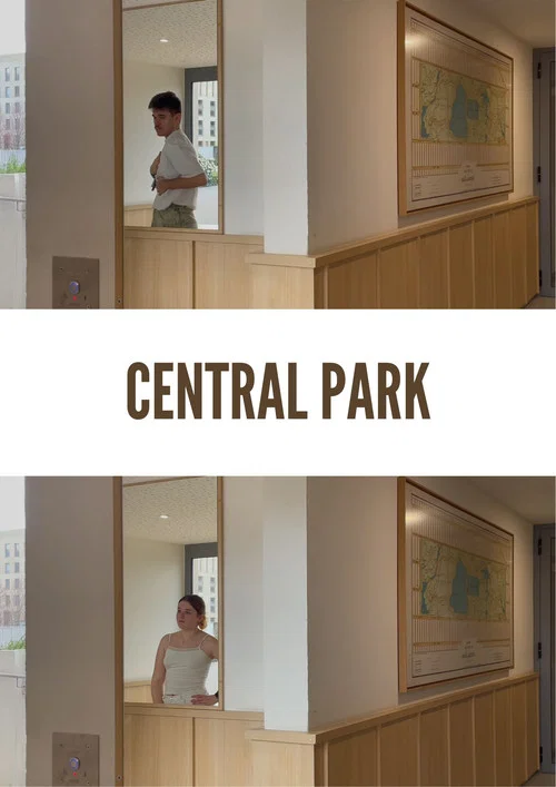 Central Park постер